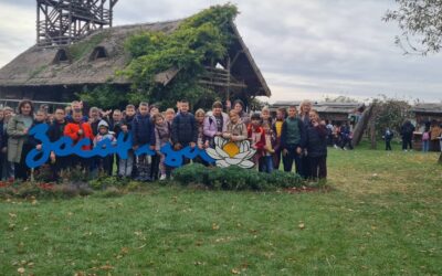 Zasavica- bajka u zelenom/ Засавица- бајка у зеленом